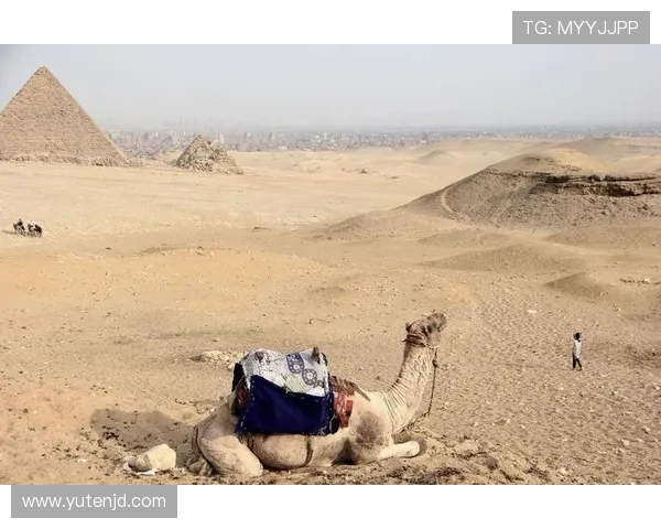 极限运动的战术解析:揭秘北京极限运动队的区域防守策略与实践