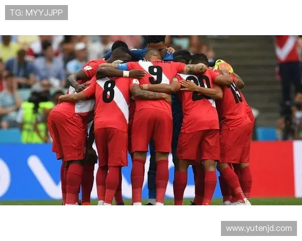 新西兰与威尔士激战正酣谁将赢得这场精彩对决 新西兰与威尔士激战正酣谁将赢得这场精彩对决