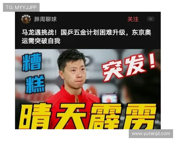 武汉排球队反击之路的成功与挑战分析