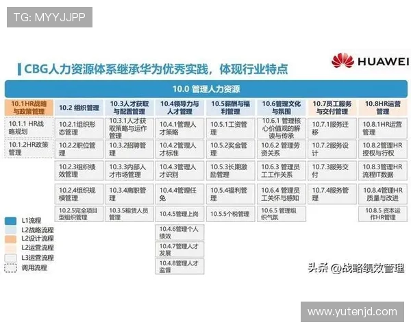 成都排球队实力展现全景解析大满贯赛事表现与未来发展潜力