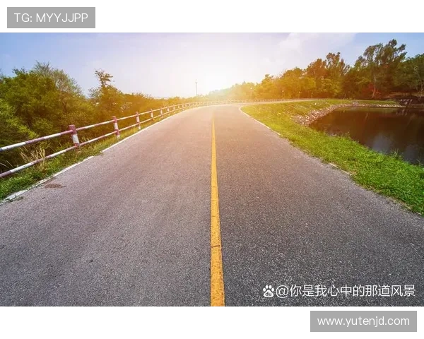 杭州滑板队勇闯极限运动世界杯的奋斗与突破之路