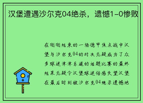 汉堡遭遇沙尔克04绝杀，遗憾1-0惨败