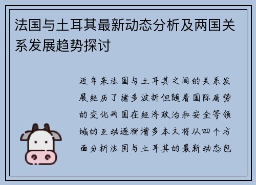 法国与土耳其最新动态分析及两国关系发展趋势探讨